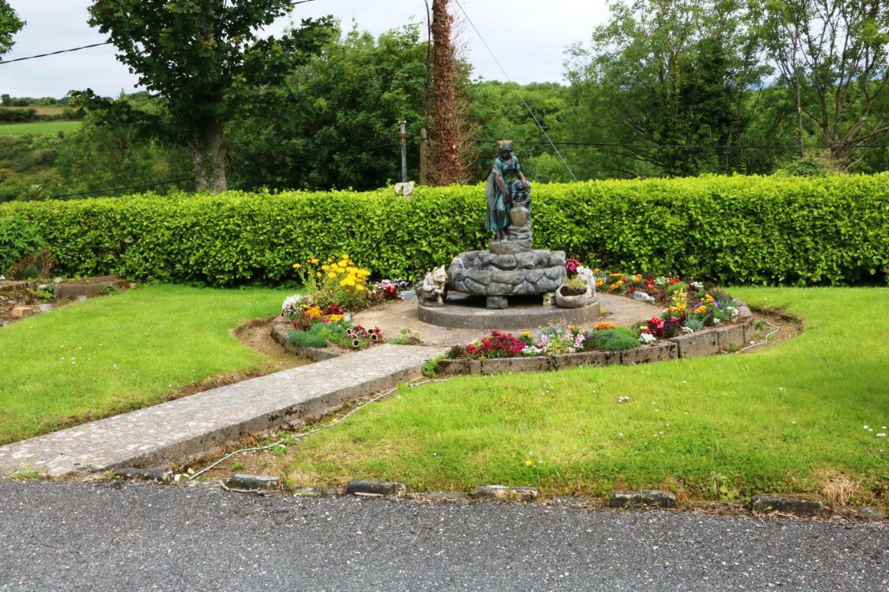 Comeragh View Dungarvan  Εξωτερικό φωτογραφία